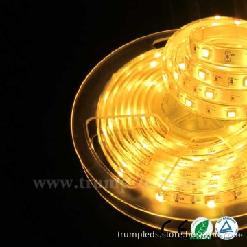 5050 Flexible LED Strip Waterproof Ribbon Strip RGB